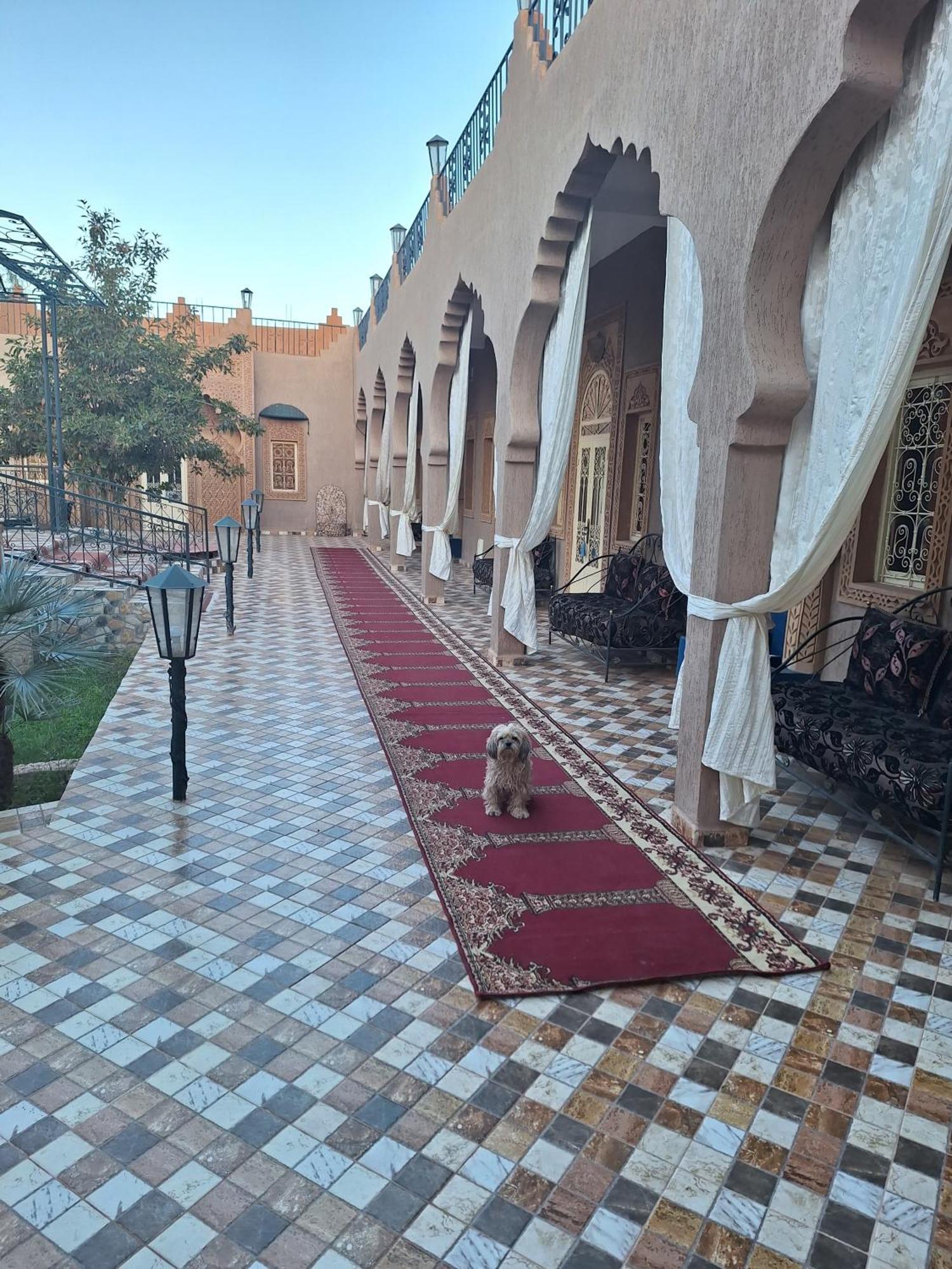 Eden Suite Marrakesz Zewnętrze zdjęcie